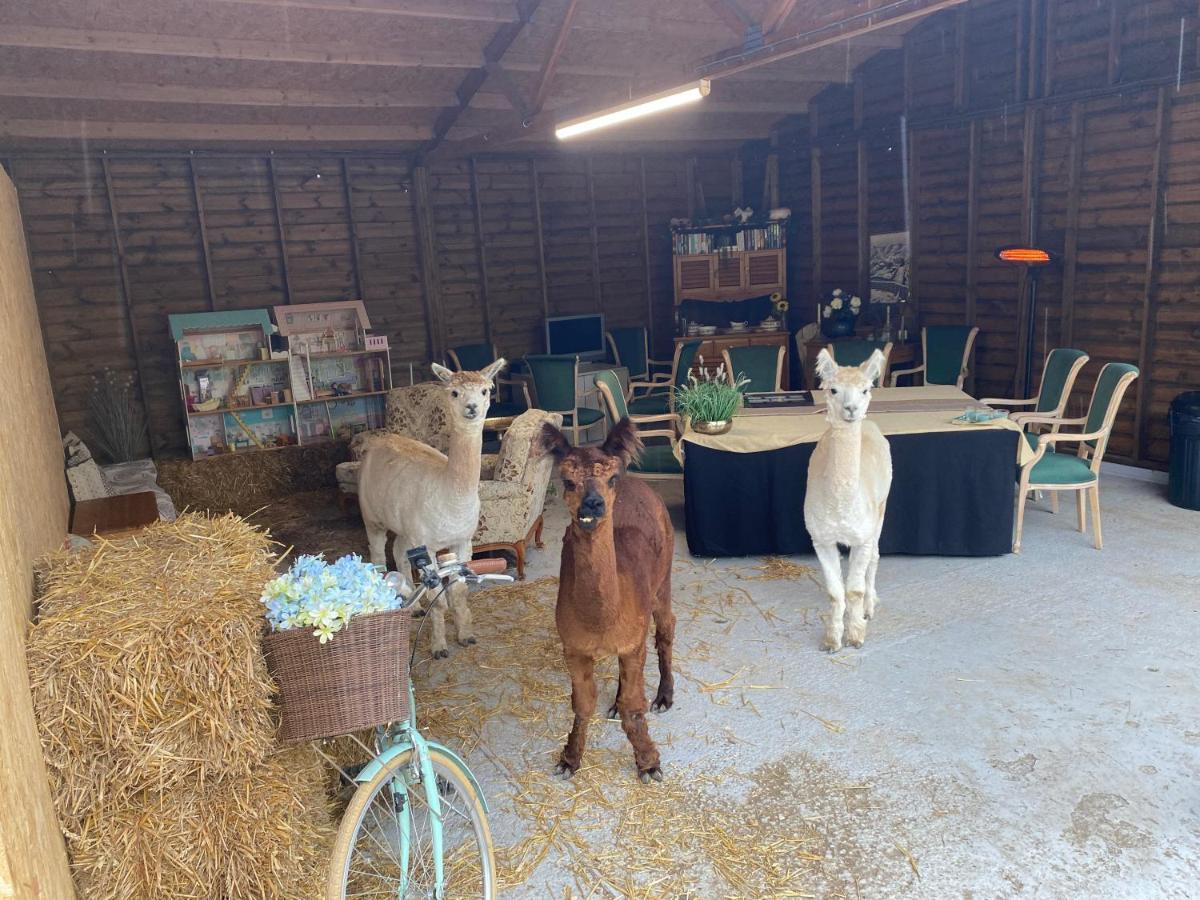 The Piggery Pod Hotel Sittingbourne Kültér fotó
